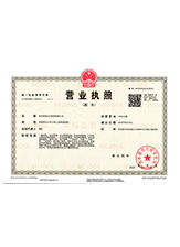 广西营业执照副本